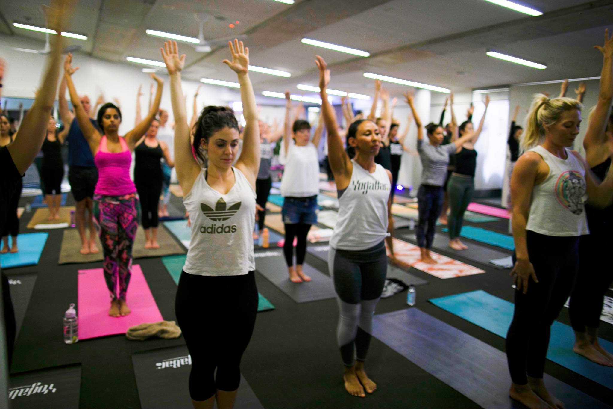The YogaBar Five Dock 