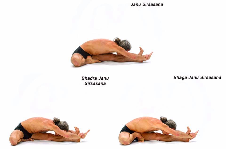 Yoga Synergy 