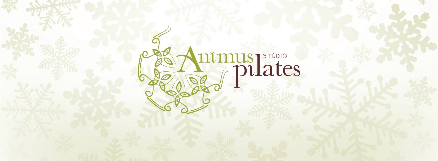 Animus Pilates Studio Budapest Hungary 