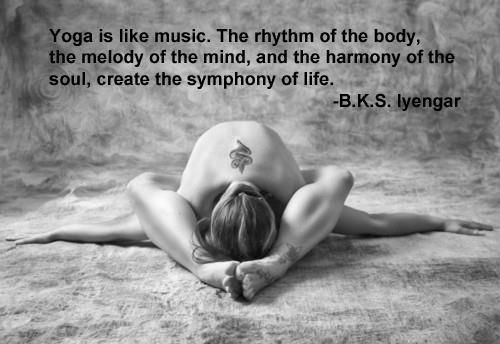 Back To Wellness Centre Yoga Studio 