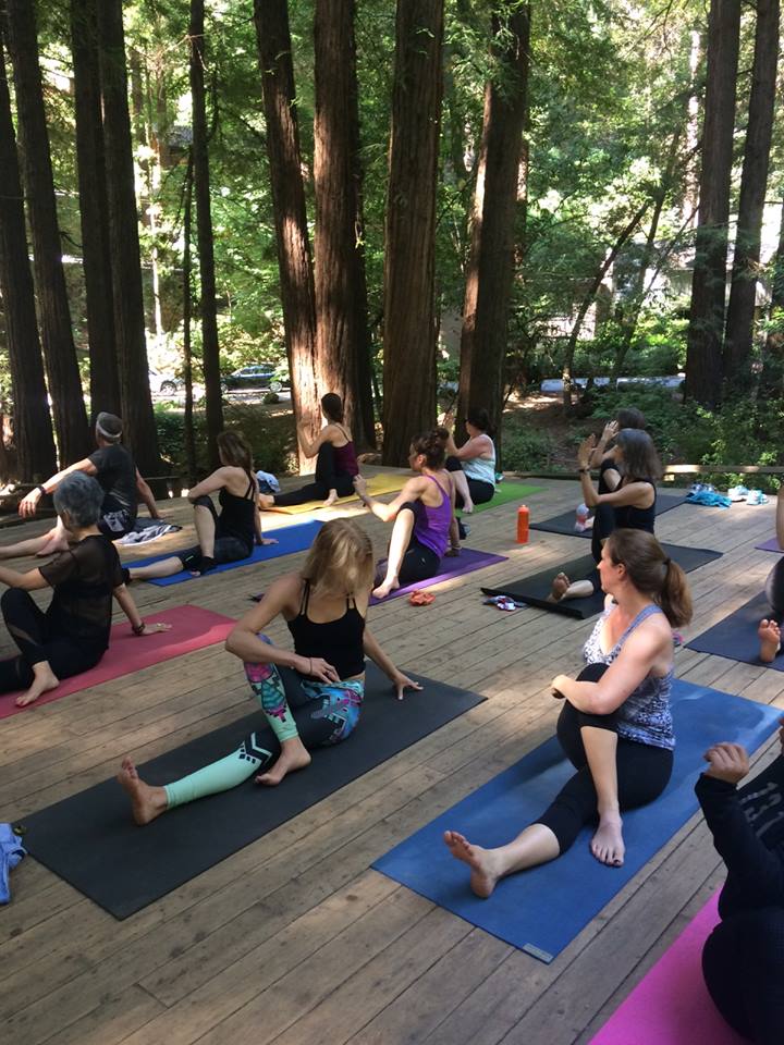 Pilates ProWorks® Mill Valley 