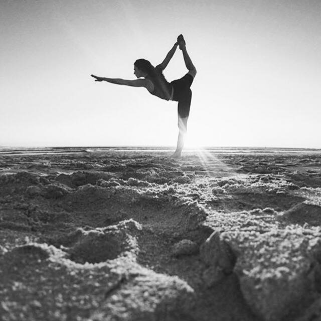 Wild Thing Yoga Studio 