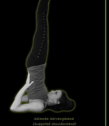 Yoga Pilates And Yoga Studio 