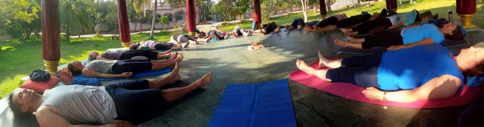 Momentum Coaching Meditation &amp; Yoga Alfred Cove