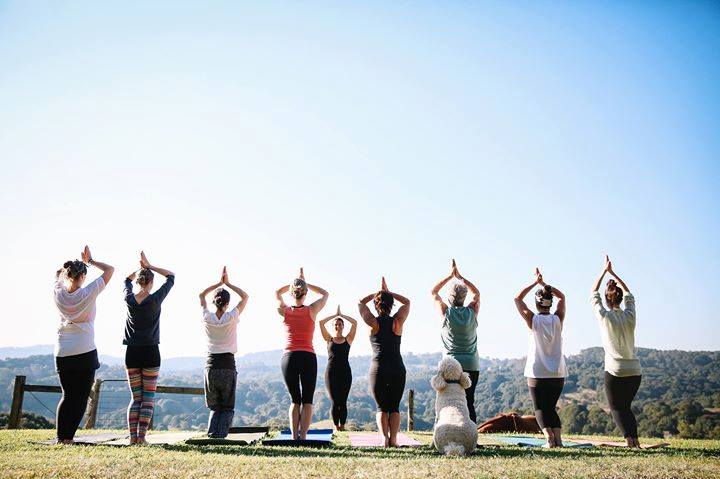 SoHo Yoga Studio