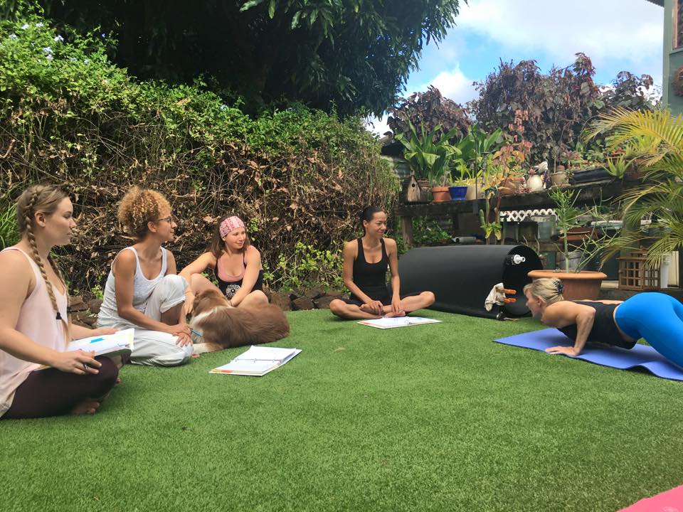 Wisdom Flow Yoga Studio 