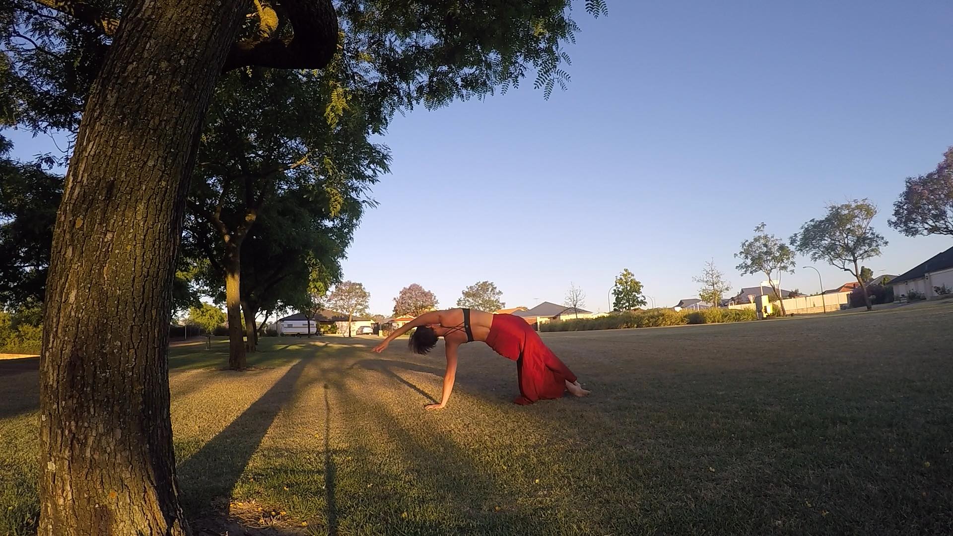 Yoga on Harris Studio Palmyra
