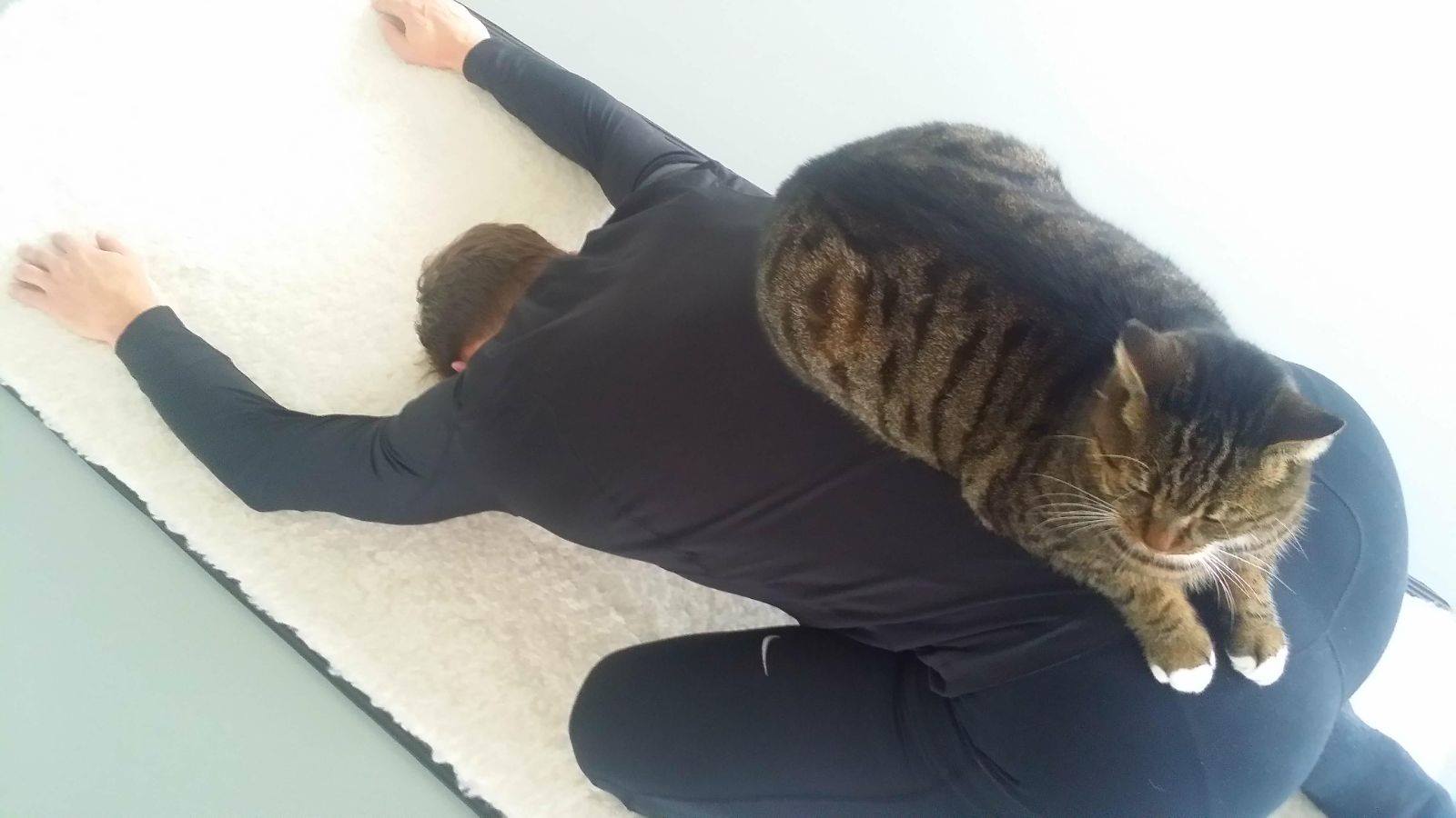 Nije Balans Fitness Lemmer 