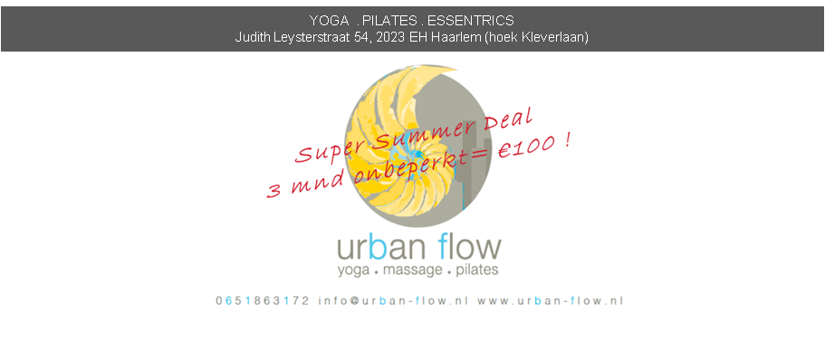 Urban Flow Haarlem Netherlands