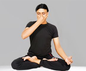 Brahmavarchas International Yoga Academy 