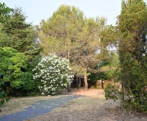 Dhamma Neru Vipassana Meditation Centre Barcelona