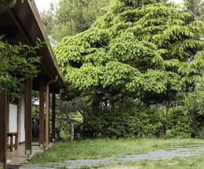 Dhamma Neru Vipassana Meditation Centre 