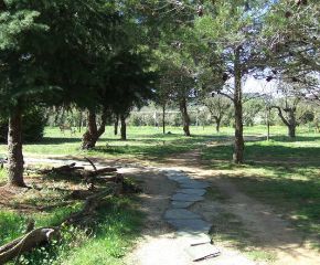 Dhamma Neru Vipassana Meditation Centre Barcelona