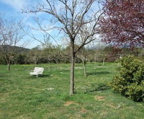 Dhamma Neru Vipassana Meditation Centre Spain