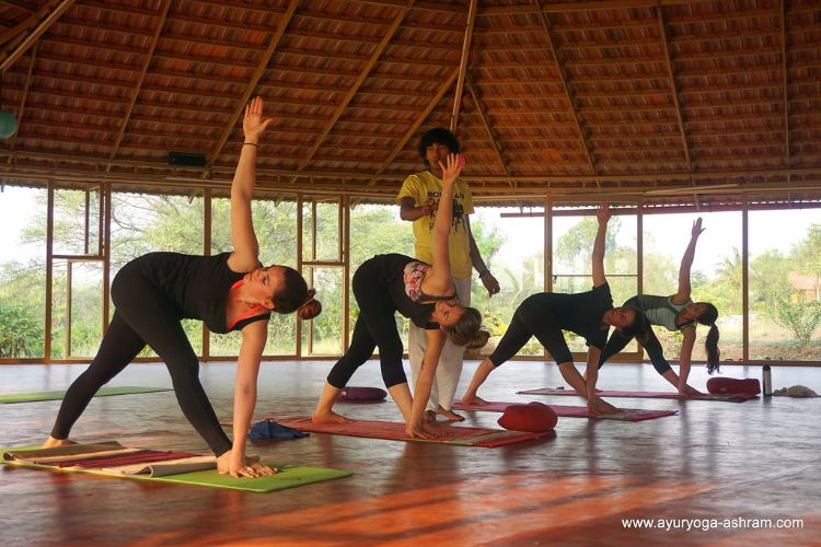 AyurYoga Eco Ashram 