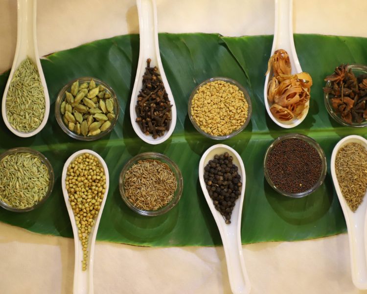  Jaipur