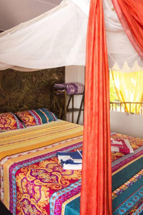 Fusion's Yoga Retreats Goa India