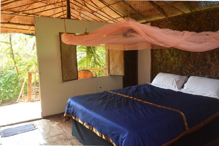 Fusion's Yoga Retreats Goa India