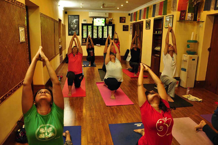Mystic Yoga Camac Street India