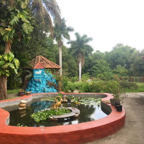 Samudra Yoga School