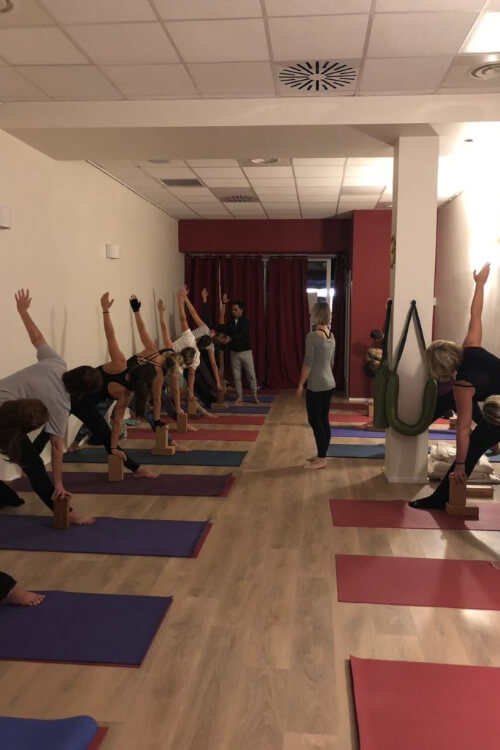 Live With Yoga Jaipur