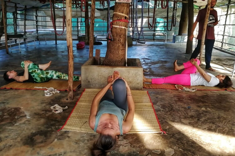 Himalayan Iyengar Yoga Centre 