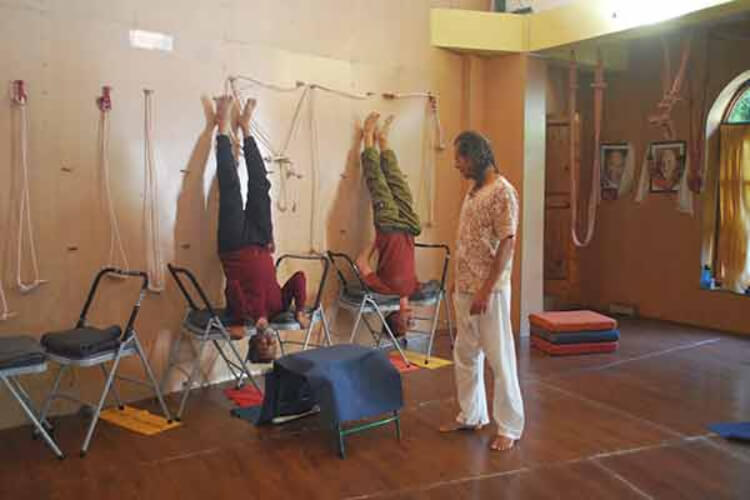 Himalayan Iyengar Yoga Centre Dharamshala