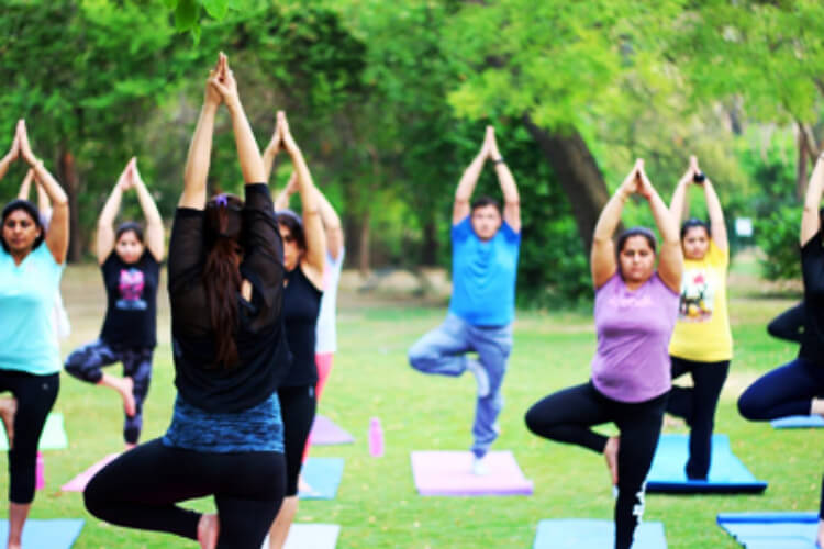 Zelosity by Apurvaa Yoga 