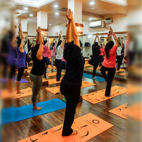 Zelosity by Apurvaa Yoga 