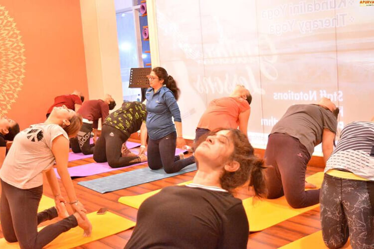 Zelosity by Apurvaa Yoga