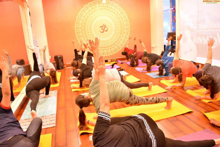 Zelosity by Apurvaa Yoga 