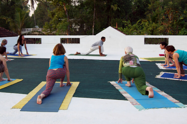 Yoga life homesta 