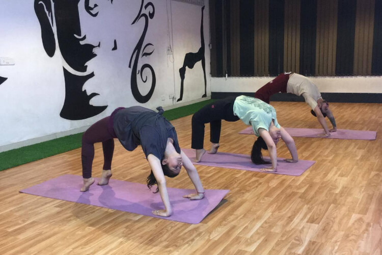 Exert Yoga Studios Mohali