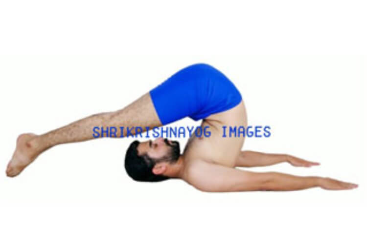 SKY Yoga School