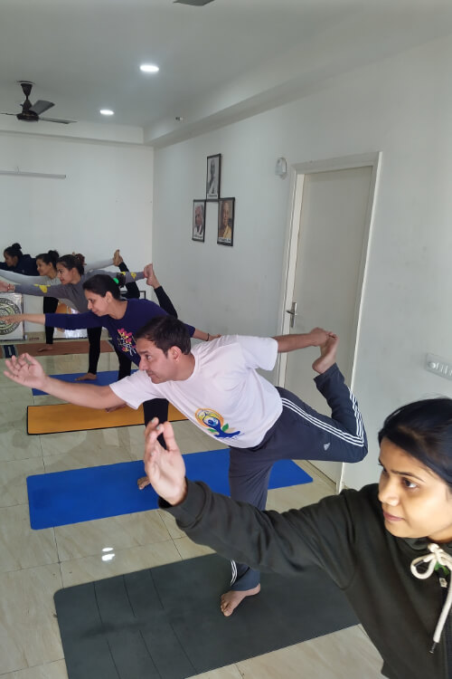 The Yoga Guru