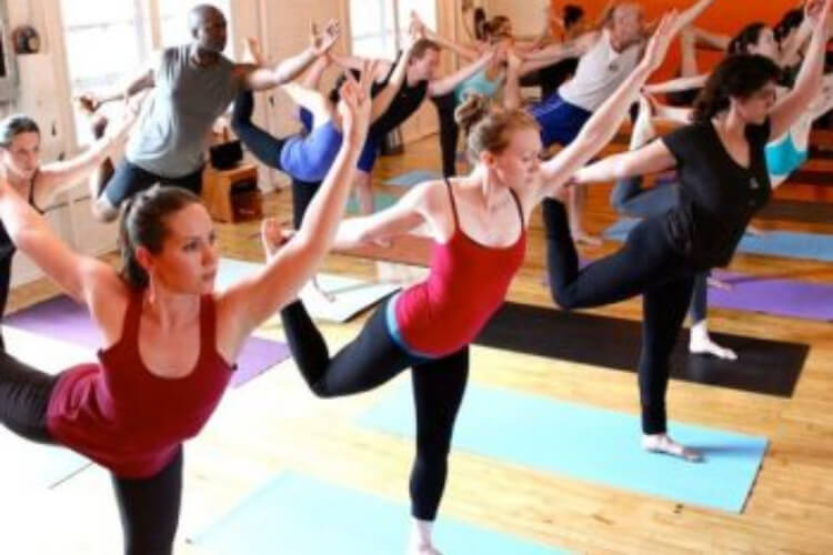 The Yoga Guru India