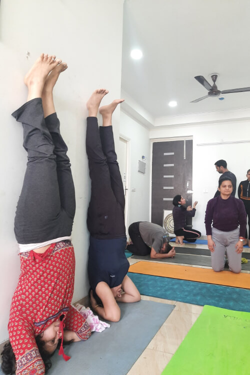 The Yoga Guru Noida