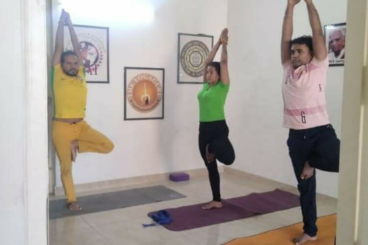 The Yoga Guru 