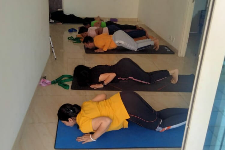 The Yoga Guru 