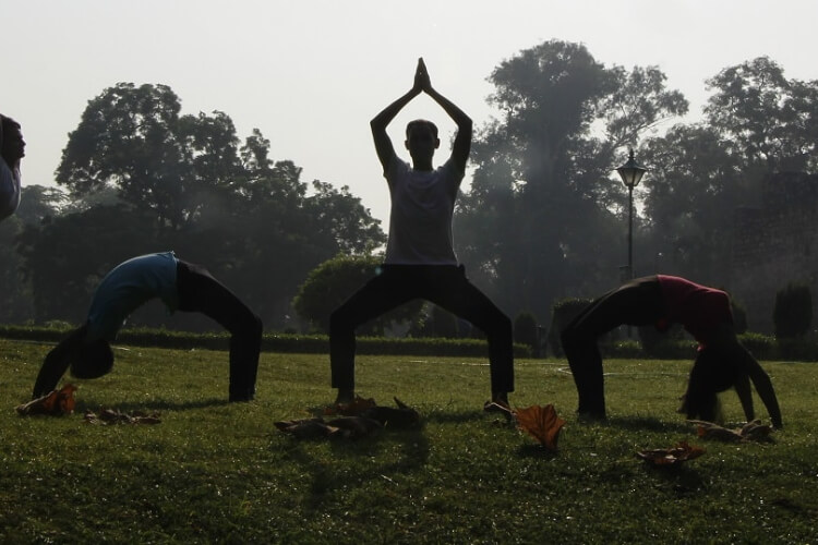 The Yoga Guru 