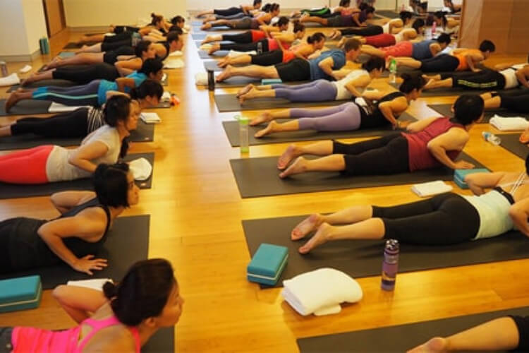 Yoga Trainers India