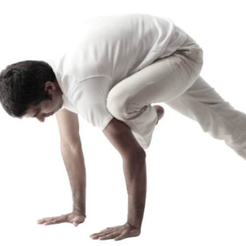 Artistic Yoga Koramangala Bangalore