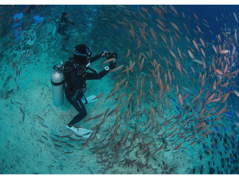 Beqa Lagoon Resort