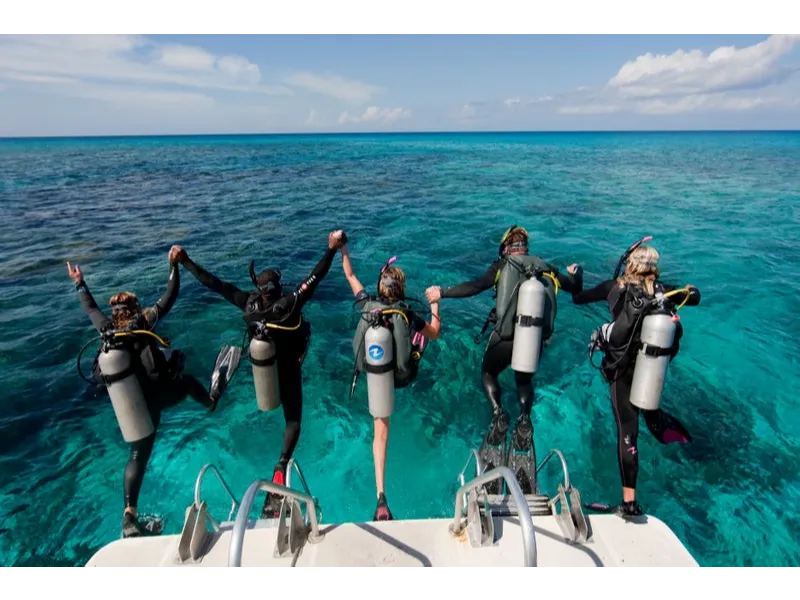 Dive Centre Bondi Image