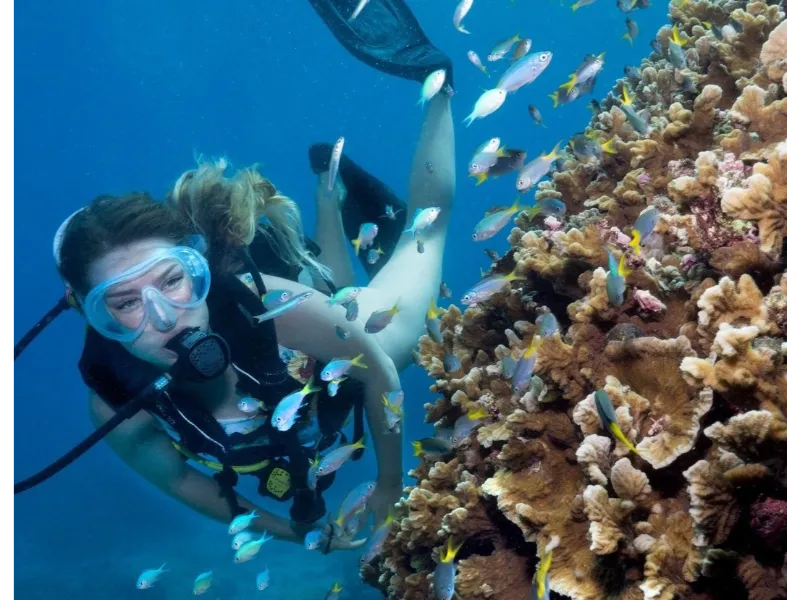 Divers Den