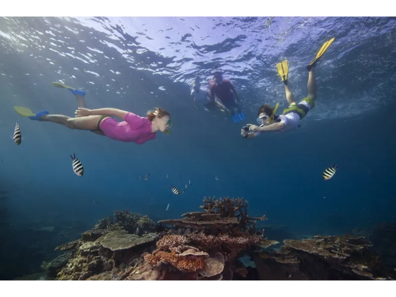 Lady Elliot Island Eco Resort Image