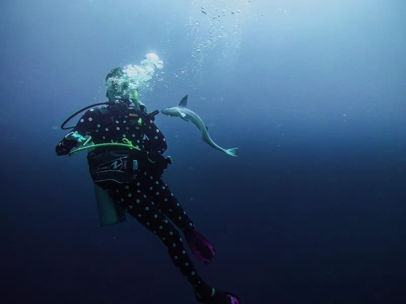 Laidenki Diving & Tours