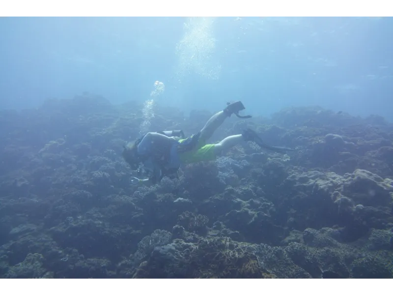 Okidivezone