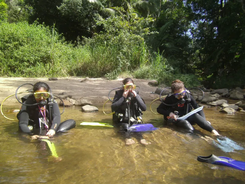 Rainforest Scuba Image