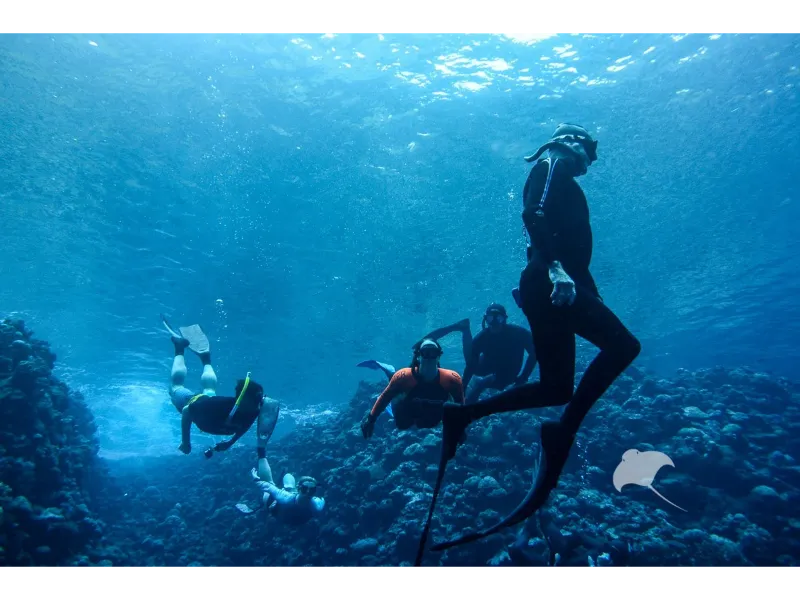 Watermaarq Freediving